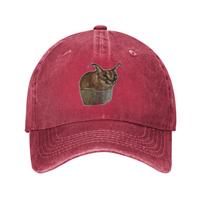 big floppa meme Washed Denim Cap Casual Baseball Caps Adjustable Hat Summer Unisex Baseball Hats One Size