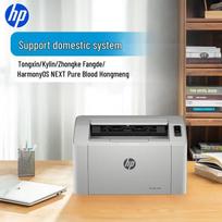 HP 102w Wireless Laser Printer CN plug (adapter included)