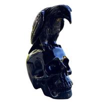 Raven On Skull Home Decor Gothic Crow On Skull Statue Halloween Decoration Bird Perching On Skeleton Figurine Realistic Ornament juoda