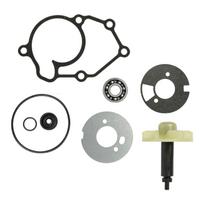 Water Pump Repair Kit for Brand X-Max125 X-Max150 VP125 WR125 City125 YZF-R125 X-City125 LC135 V1 For Jupiter MX135 Service Part China Mainland