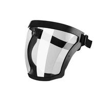 Anti-Fog Kids Anti-Splash Face Mask Adjustable Full Face Goggles  The Water-Sprinkling Festival juoda