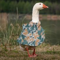 Easy To Clean Garden Decor Garden Statue Summer Outfit Goose Costume Weather Resistant Yellow Polka Dot Bikini