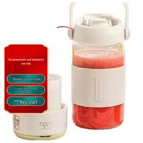 Liven Portable Blender standartinė spalva