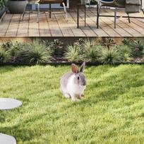 Rabbit Animal Statue Stake Garden Rabbit Decoration for Porch Backyard Patio