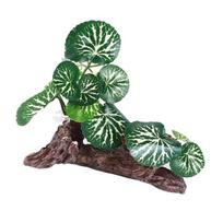 Plastikinių medžių akvariumo povandeniniai augalai Ficus Akvariumo papuošimai Ornamentas