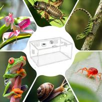 Reptile Terrarium Comfortable Display 360-Degree View Isolation Habitat Reptile Habitat Terrarium For Small Pet Animals Family China Mainland