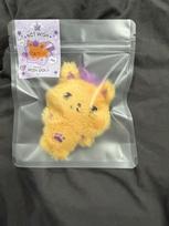 NCT (Unopened) Wish Pocket Wish Dorition
