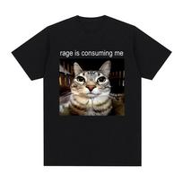 Rage Is Consuming Me Silly Staring Cat Meme Tee Shirt Casual Cotton Short Sleeve T-shirts Men Women Cat Lover T Shirt Oversized S įvairiaspalvis