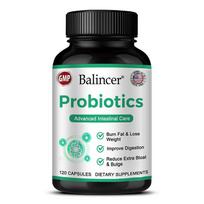Probiotics Dietary Supplement, With Prebiotic, Green Tea Extract, 120 Capsules Per Bottle 120 Capsules