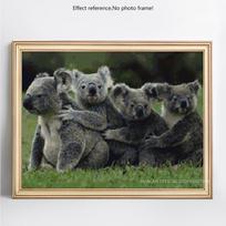 Deimantinis siuvinėjimas Viso ekrano gyvūnas Koala Deimantinė mozaika Deimantinė tapyba Visas apvalus siuvinėjimas kryželiu 20X30CM gray