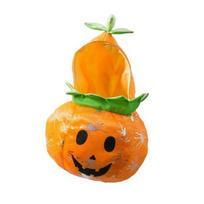 Premium-Dog Cat Halloween Pumpkin Costume,Pet Cosplay Costumes,Puppy Warm Outfits Hoodie Animal Autumn Winter Clothes
