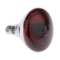 Glass Infrared Heating Bulb for Reptile Poultry Piglet Chickens Fast and Stable Heat Basking Lamp 100W