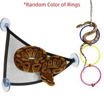 Suction Cup Reptile Hammock with Rope Snake Enrichment Toys Rings Swing Perch  Frogs 3 Rings Black Net