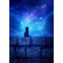 Visas 5D „pasidaryk pats“ deimantinis paveikslas „Lonely Cat“ deimantinis siuvinėjimas Visiškai klojamas kryželiu namų dekoras, rankų darbo dovana 20x30cm