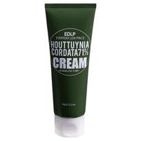 Derma Factory EDLP Houttuynia Cordata 24% Cleansing Foam 120g – Acne Care, Sebum Control, Gentle Exfoliating Wash, Korean