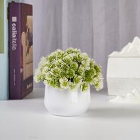 Mini Plastic Plant Artificial Plant Bonsai Evergreen Fake Flower False Plant Pot Bonsai Plants Garden