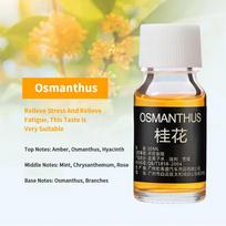 10 ml automobilių oro gaivikliai kvepalų papildymas automobilių oro ventiliacijos angų kvepalų papildymas eterinių aliejų aromato difuzorius kvapų drėkintuvas