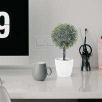 Artificial Desktop Plant Fake Spherical Bonsai Decor for Window Bookshelf Coffee Table Realistic Home Office Indoor Outdoor Use 8X18CM