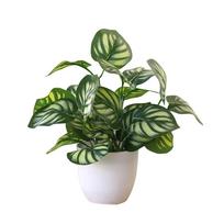 Artificial potted flowers and plants Desktop bonsai decoration Plastic simulation flower Bonsai flower arrangement decoration