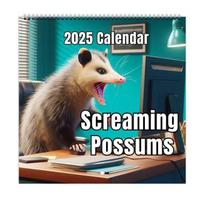 2025 Screaming Possum Calendar Featuring Adorable Artwork For Unique Home Decor Gifts