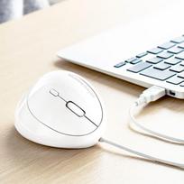 SANWA Ergonomic Vertical Wired Mouse