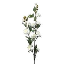 Wedding Celebrations Wedding Flower Bouquet Beautiful Wedding Centerpiece Flowers Home Decor Home Decor Flowers balta