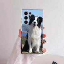 Border Collie Phone Case for Samsung Galaxy S22 S23 S24 S25 FE Ultra 5G Silicone Classic Shockproof Case SamsungS24ULTRA