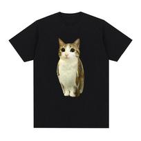 Cat Owl Funny Meowl Meme Brainrot Graphic T-shirts Men's Women Clothing Fashion Short Sleeves T-shirt Cotton Oversized T Shirts S įvairiaspalvis