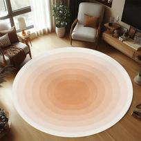 Minimalist Gradient Color Round Area Rug, Soft Non-Slip Washable Circular Floor Mat for Living Room Bedroom Nursery 80cm x 80cm