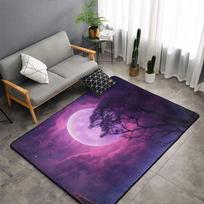 Galaxy Nebula Print Area Rug Soft Flannel Washable Floor Mat for Living Room Bedroom Gaming Room Space Themed Home Decor 40X60CM