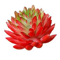 Artificial Mini Succulent Bonsai For Home And Office Decor Lifelike Simulation Plant For Indoor And Outdoor Green Spaces