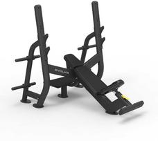 Evolve Prime Series štangos spaudimo suoliukas su įkalne (PR-210)