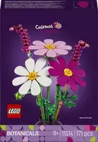 LEGO® Kosmėjos