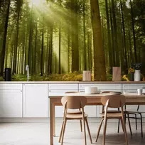 Artgeist Fototapetas - Pine forest – dense woodland in morning sunlight