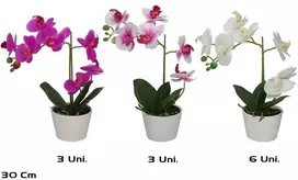 Dirbtinės orchidėjos vazone x7 – 30 cm, 13x22x30 cm, LITO