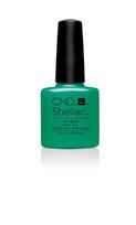 Shellac nail polish - ART BASIL