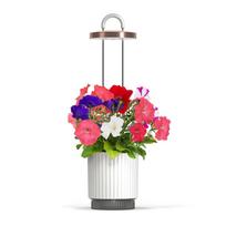 Click And Grow Click  AND  Grow HydroVase - White