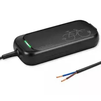 Charger for ebike 36V 42V 2A without plug