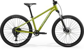 Dviratis Merida Big.Seven 20 2026 fall green(silvergreen)