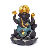 Krioklio efekto smilkalinė 'Ganeshas'