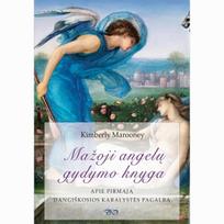 Mažoji angelų gydymo knyga. Apie pirmąją dangiškosios karalystės pagalbą