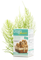 DOGOTEKA DOGOjunior 60 tabl.