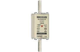 NH fuse-link gG, 500VAC, size 1, 160A double indicator/live tags