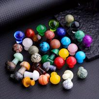 Atsitiktinis gydomasis kristalo grybas, 10 PCSRatsitiktinis