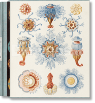 The Art and Science of Ernst Haeckel - Julia Voss