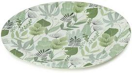 Lėkštės vienkartinės BIO kompostuojamos D28 cm 3 vnt Algon BA01054076236