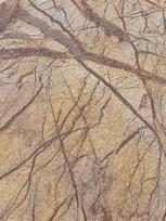 Rainforest Brown lankstus akmuo 122x61 cm, (1vnt=0,75m2)