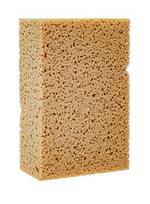 Kempinė 20x13x7 cm  Koch Chemie
