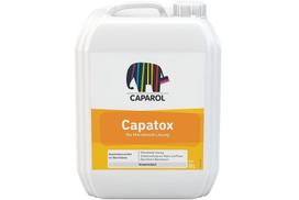 Priemonė dumbliams ir pelėsiui naikinti Caparol Capatox 10 LT