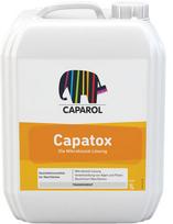Priemonė dumbliams ir pelėsiui naikinti Caparol Capatox 1 LT